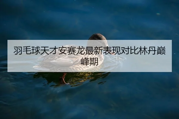 羽毛球天才安赛龙最新表现对比林丹巅峰期