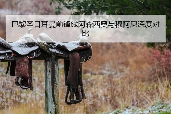 巴黎圣日耳曼前锋线阿森西奥与穆阿尼深度对比