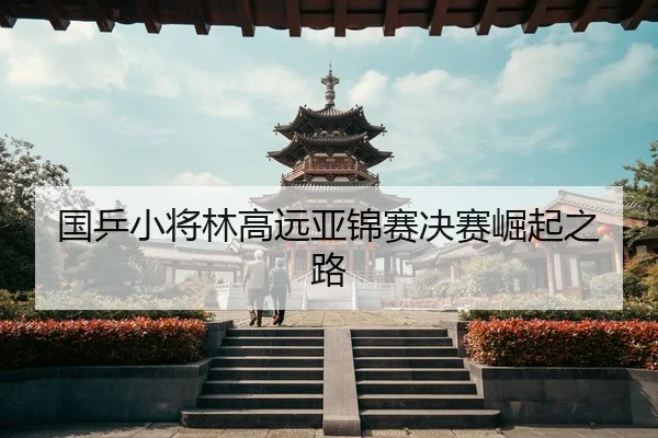 国乒小将林高远亚锦赛决赛崛起之路